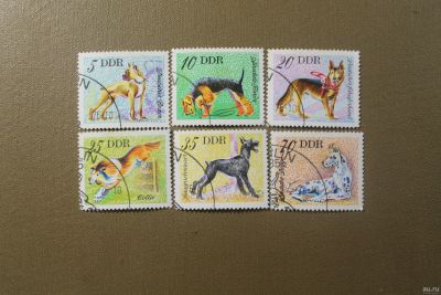 Лот: 13747636. Фото: 1. Германия; ГДР; DDR; Собаки; 1976. Марки
