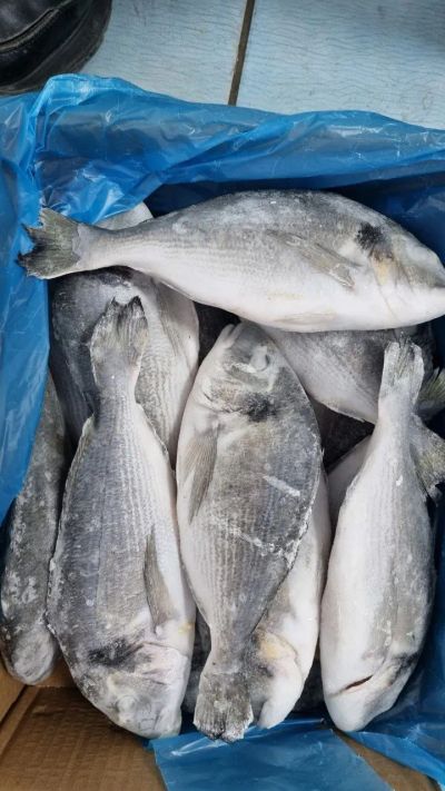 Лот: 20763603. Фото: 1. Дорадо н/р с/м. Икра, рыба, морепродукты