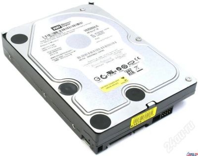 Лот: 369370. Фото: 1. Western-Digital-WD 250 GB. Жёсткие диски (HDD)