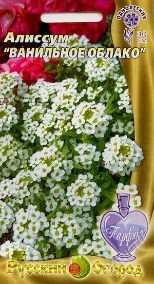 Лот: 2673939. Фото: 1. Алиссум Ванильное облако (семена... Другое (семена, рассада, садовые растения)