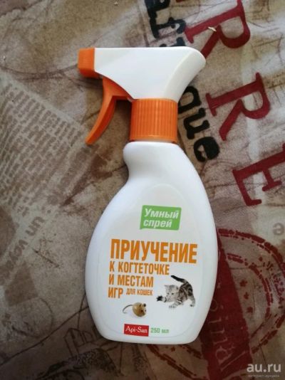 Лот: 13808138. Фото: 1. Приучение к когтеточке. Кошки, котята