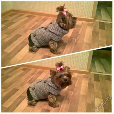 Лот: 5866408. Фото: 1. Кардиган для вашей собачки. Готовые изделия