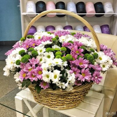 Лот: 9279789. Фото: 1. ромашки в корзине. Свежие цветы