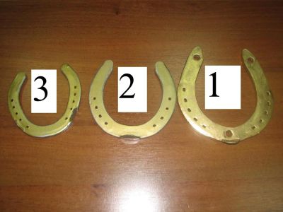 Лот: 3552177. Фото: 1. "Золотая" подкова №2 в подарок... Подарки на Новый год