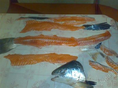 Лот: 728783. Фото: 1. семга 4кг от 150 рублей!. Икра, рыба, морепродукты