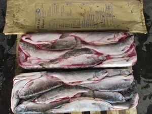 Лот: 5047453. Фото: 1. Свежемороженая рыба. Икра, рыба, морепродукты