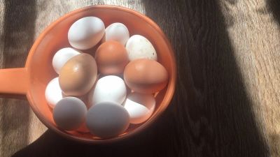 Лот: 8460206. Фото: 1. Яйцо куриное деревенское!. Другое (красота и здоровье)