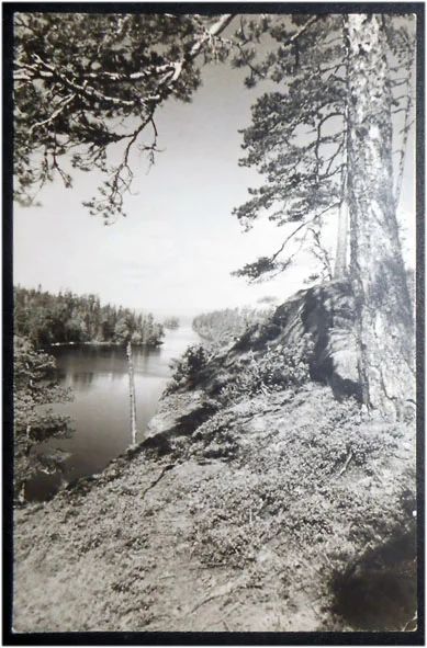 Лот: 7974093. Фото: 1. Открытка Валаам. 1964. ЛИК Чистая... Открытки, конверты