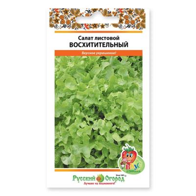Лот: 24683792. Фото: 1. Семена Салат листовой, Восхитительный... Другое (семена, рассада, садовые растения)