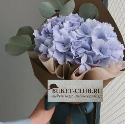 Лот: 16152779. Фото: 1. Гортензия великолепная в крафте... Свежие цветы