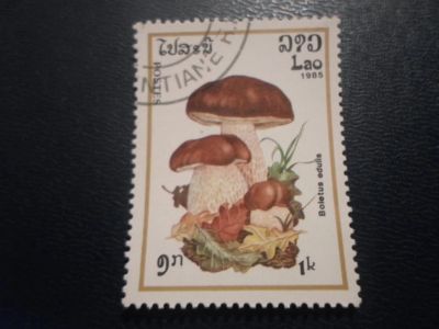 Лот: 17947021. Фото: 1. Марка для Вашей коллекции. №612895. Марки