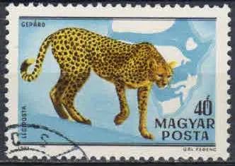 Лот: 21558340. Фото: 1. 1981. Венгрия. Африканская фауна... Марки
