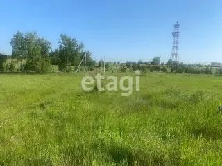 Лот: 25293776. Фото: 1. участок , СТ Полесье СТ Полесье... Земельные участки