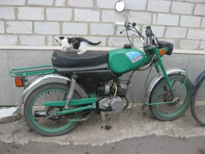 Лот: 7087308. Фото: 1. Мопед Карпаты 2. Мотороллеры, мопеды