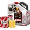 Лот: 14048648. Фото: 1. MOTUL 8100 Eco-lite 5w30 100... Масла, жидкости