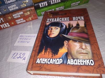 Лот: 19076855. Фото: 1. Дунайские ночи | Авдеенко Александр... Художественная