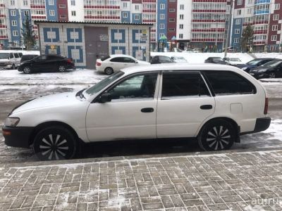 Лот: 12804141. Фото: 1. Toyota Corolla. Автомобили