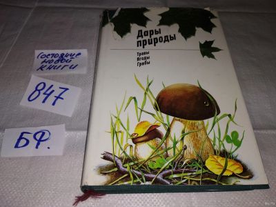 Лот: 12814322. Фото: 1. Дары природы. Травы. Ягоды. Грибы... Сад, огород, цветы