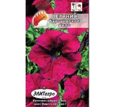 Лот: 11025506. Фото: 1. Петуния Суперкаскад.Бургундское... Садовые цветы