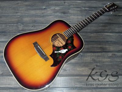 Лот: 9870091. Фото: 1. Yamaki Deluxe No120 Guitar (демозапись... Гитары