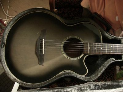 Лот: 4455851. Фото: 1. Tacamine Cooder CP-50. Гитары