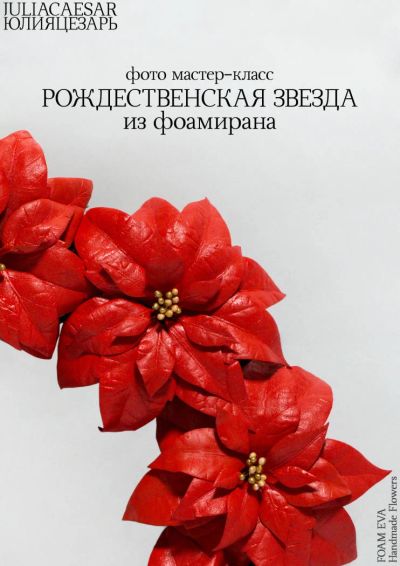 Лот: 6506989. Фото: 1. Мастер-класс "Рождественская звезда... Цветы из ткани