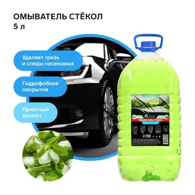 Лот: 25617636. Фото: 1. Омыватель стёкол Grand Caratt... Кузов