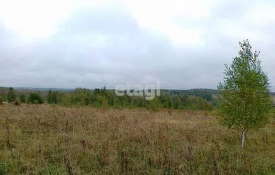 Лот: 25295830. Фото: 1. участок , ДНП Ясная Поляна ДНП... Земельные участки