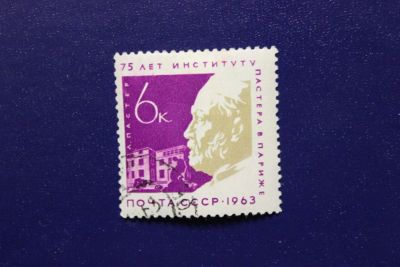 Лот: 6796325. Фото: 1. Почтовая марка №3615 в коллекцию. Марки
