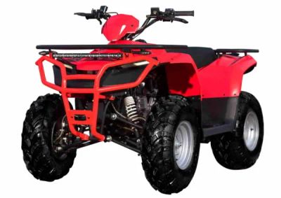 Лот: 20622769. Фото: 1. Квадроцикл SHARMAX Luxe 300 (2022... Снегоходы, квадроциклы