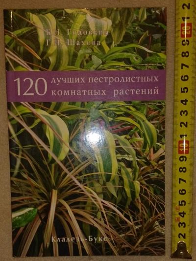 Лот: 7148844. Фото: 1. 120 лучших пестролистных комнатных... Сад, огород, цветы