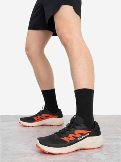Лот: 25369268. Фото: 1. Кроссовки мужские Salomon Alphaglide... Кеды, кроссовки, слипоны
