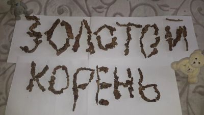 Лот: 7315011. Фото: 1. Золотой Корень. Народная медицина, БАДы
