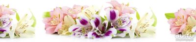 Лот: 13829708. Фото: 1. SP 046 Стеновые дизайн панели... Фартуки для кухни