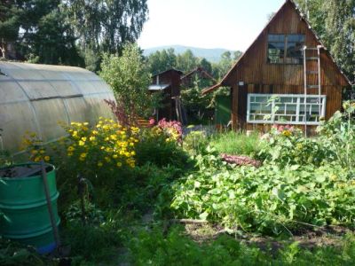 Лот: 3112723. Фото: 1. Дача на Манской горе. Дачи