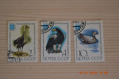 Лот: 6776453. Фото: 1. Марки СССР 1982г. XVIII Международный... Марки