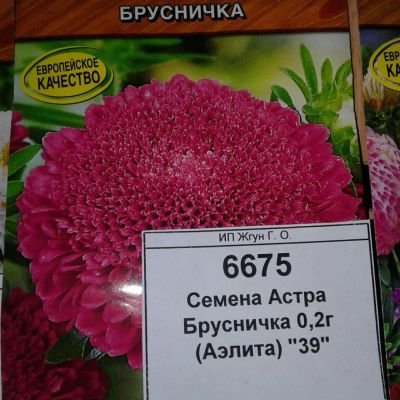 Лот: 9111331. Фото: 1. Семена / цветы / Астра / Брусничка... Садовые цветы