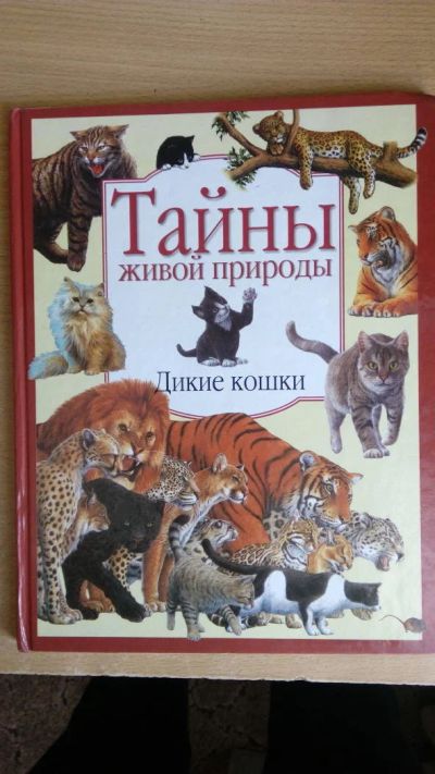 Лот: 10145052. Фото: 1. Тайны живой природы. Дикие кошки. Познавательная литература