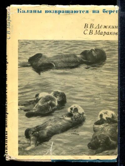 Лот: 23429147. Фото: 1. Каланы возвращаются на берег. Домашние животные