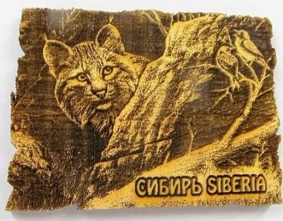 Лот: 10549361. Фото: 1. Кедр Магнит Сибирь Рысь 5 см х... Магниты сувенирные