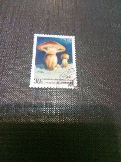 Лот: 17129266. Фото: 1. Марка для Вашей коллекции N4. Марки