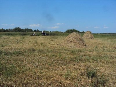 Лот: 4544817. Фото: 1. Земля сельхозназначения 41,6 га... Земельные участки