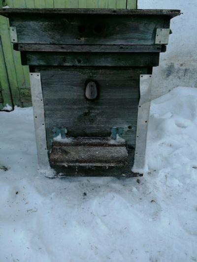 Лот: 18901194. Фото: 1. Улей для пчел. Пчеловодство