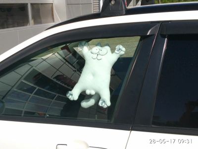 Лот: 9964665. Фото: 1. Авто КОТ!!! Прикольный авто кот... Другое (авто, мото, водный транспорт)