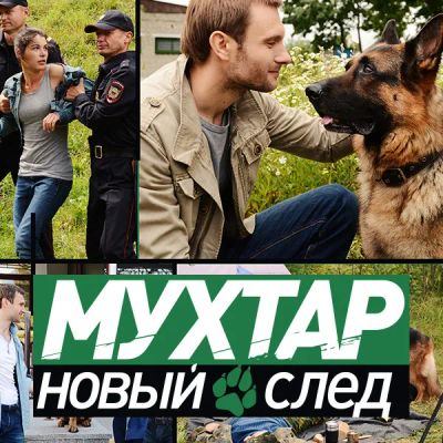 Лот: 24960729. Фото: 1. Мухтар. Новый след. Видеозаписи, фильмы