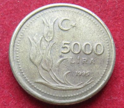 Лот: 18954474. Фото: 1. Турция 5.000 лир, 1995 г. Остальные страны