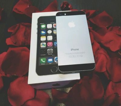Лот: 11009535. Фото: 1. Iphone 5s 16 gb. Смартфоны