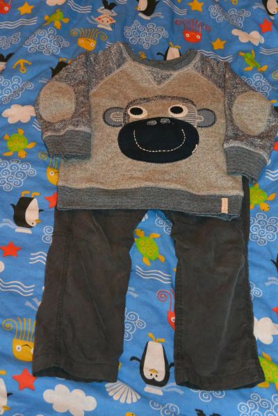 Лот: 9015556. Фото: 1. Брюки zara на демисезон,. Брюки, шорты, джинсы