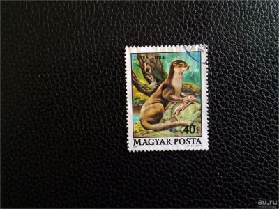 Лот: 9087328. Фото: 1. Венгрия 8. Марки