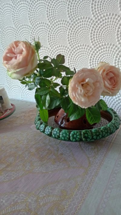 Лот: 21450611. Фото: 1. Оригинальная флористическая ваза. Кашпо, горшки, вазоны для цветов